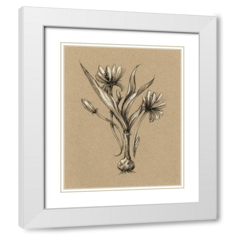 Botanical Sketch Black and White III White Modern Wood Framed Art Print with Double Matting by Harper, Ethan