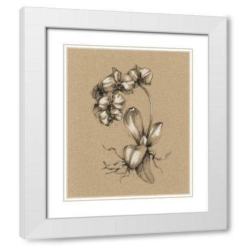 Botanical Sketch Black and White V White Modern Wood Framed Art Print with Double Matting by Harper, Ethan