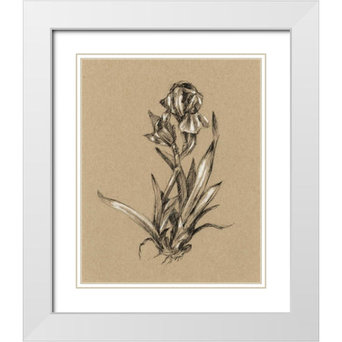 Botanical Sketch Black and White VI White Modern Wood Framed Art Print with Double Matting by Harper, Ethan
