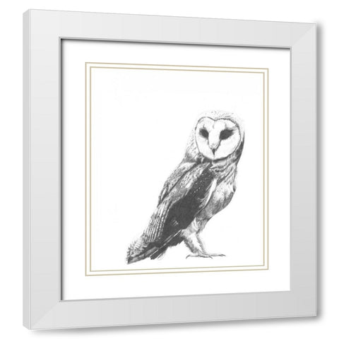 Wildlife Snapshot- Owl White Modern Wood Framed Art Print with Double Matting by McCavitt, Naomi