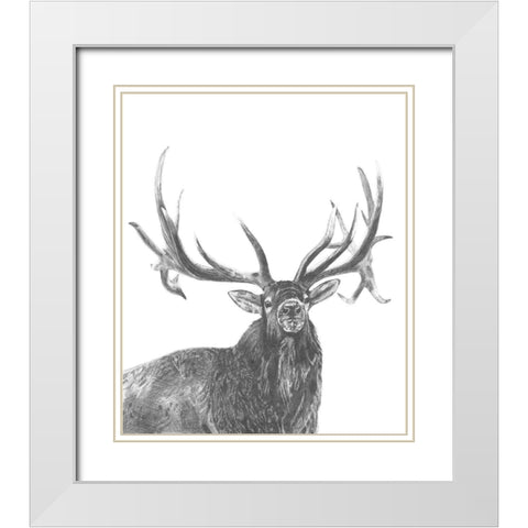 Wildlife Snapshot: Elk White Modern Wood Framed Art Print with Double Matting by McCavitt, Naomi