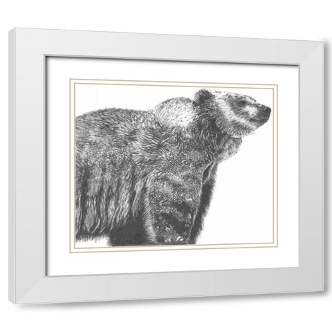 Wildlife Snapshot- Grizzly White Modern Wood Framed Art Print with Double Matting by McCavitt, Naomi