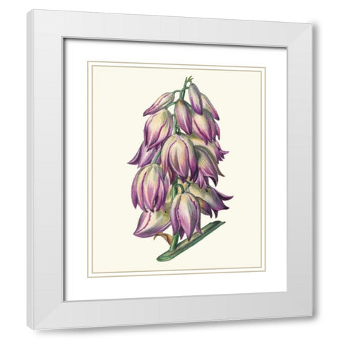 Adams Needle I White Modern Wood Framed Art Print with Double Matting by McCavitt, Naomi