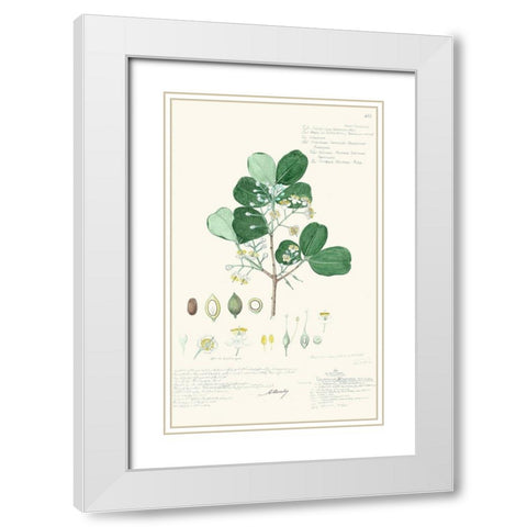 Delicate Descubes II White Modern Wood Framed Art Print with Double Matting by A. Descubes