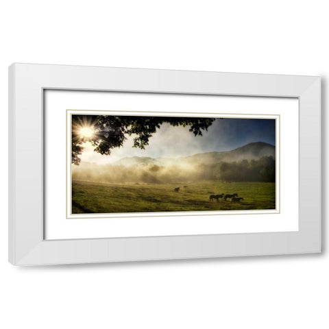 Running in the Mist White Modern Wood Framed Art Print with Double Matting by Head, Danny