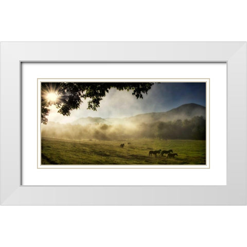 Running in the Mist White Modern Wood Framed Art Print with Double Matting by Head, Danny