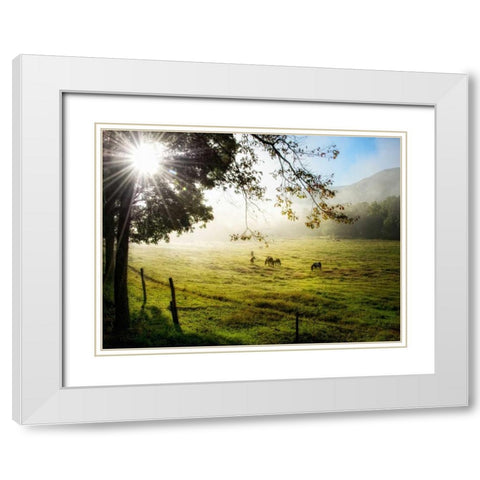 Morning Graze I White Modern Wood Framed Art Print with Double Matting by Head, Danny