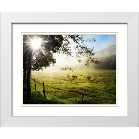 Morning Graze I White Modern Wood Framed Art Print with Double Matting by Head, Danny
