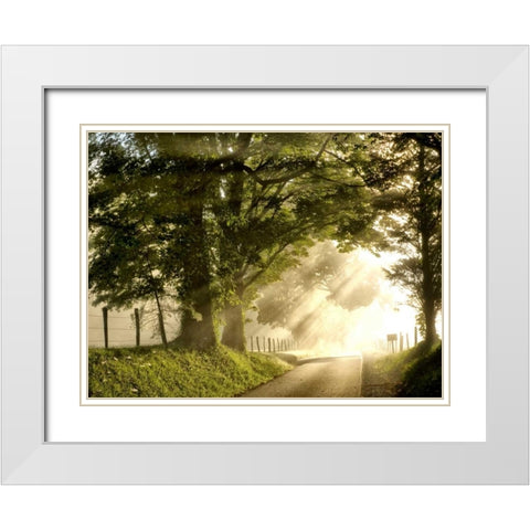 Fresh Morning I White Modern Wood Framed Art Print with Double Matting by Head, Danny