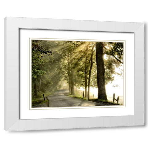 Fresh Morning II White Modern Wood Framed Art Print with Double Matting by Head, Danny