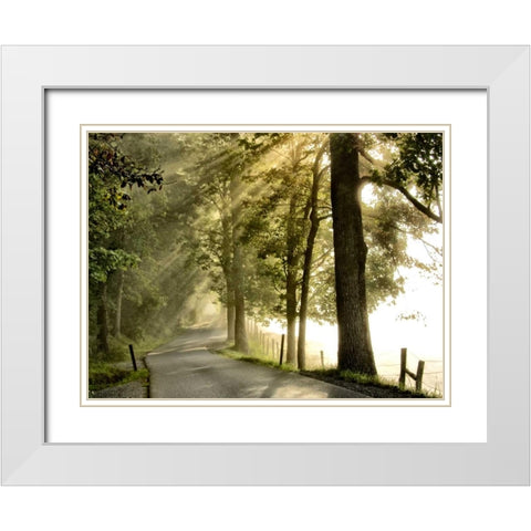 Fresh Morning II White Modern Wood Framed Art Print with Double Matting by Head, Danny