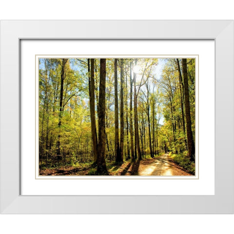A Fresh New Morning White Modern Wood Framed Art Print with Double Matting by Head, Danny