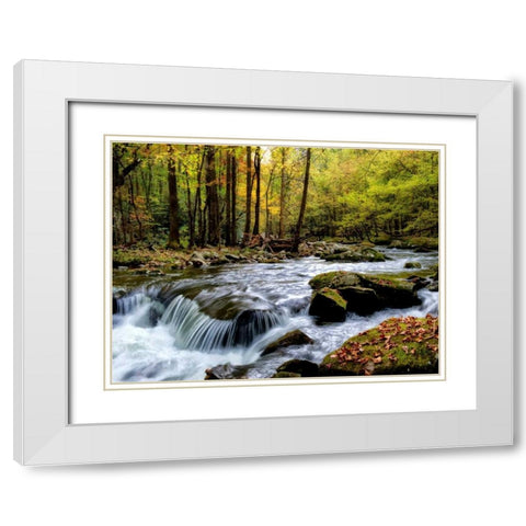 Over Flow I White Modern Wood Framed Art Print with Double Matting by Head, Danny