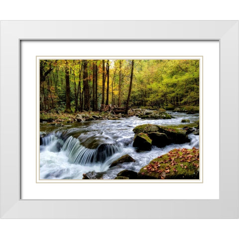 Over Flow I White Modern Wood Framed Art Print with Double Matting by Head, Danny