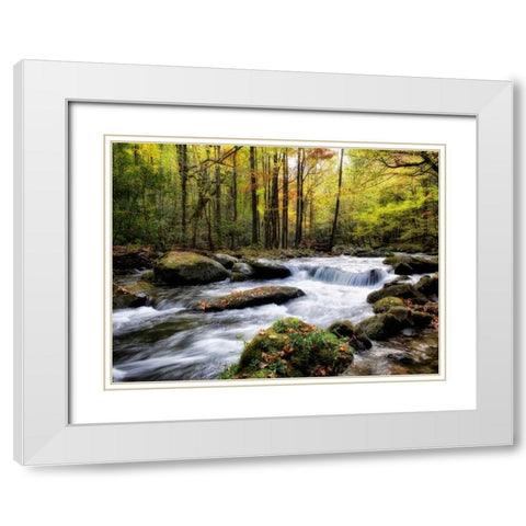 Over Flow II White Modern Wood Framed Art Print with Double Matting by Head, Danny