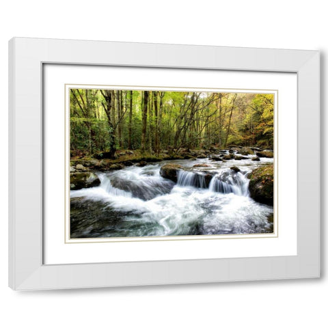 Waterslide White Modern Wood Framed Art Print with Double Matting by Head, Danny