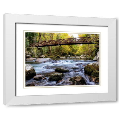On the Rocks White Modern Wood Framed Art Print with Double Matting by Head, Danny