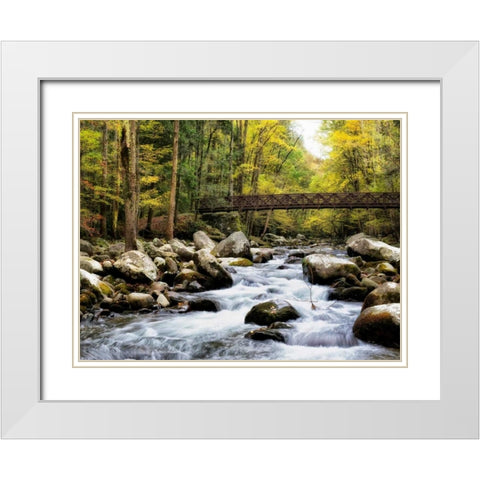 Bridging the Seasons White Modern Wood Framed Art Print with Double Matting by Head, Danny