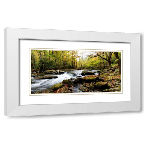 Tremont Panorama II White Modern Wood Framed Art Print with Double Matting by Head, Danny
