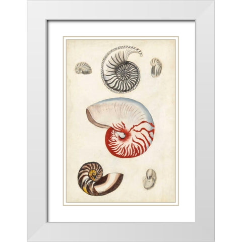 Seashore Field Notes I White Modern Wood Framed Art Print with Double Matting by McCavitt, Naomi