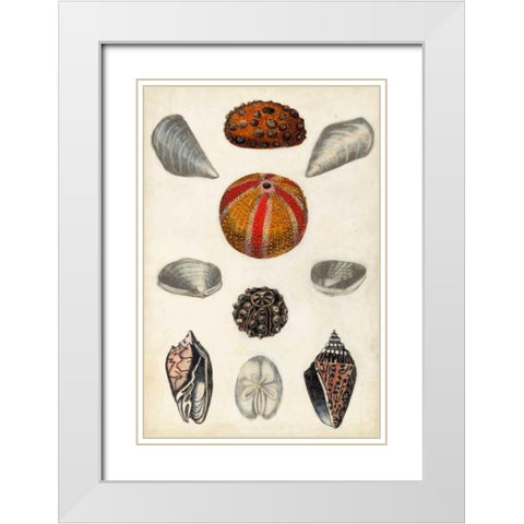 Seashore Field Notes II White Modern Wood Framed Art Print with Double Matting by McCavitt, Naomi