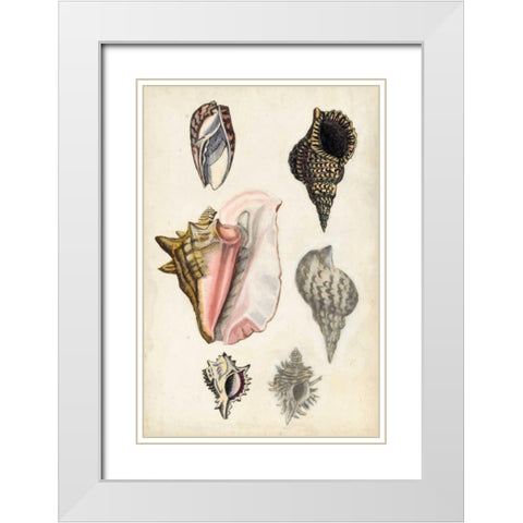 Seashore Field Notes III White Modern Wood Framed Art Print with Double Matting by McCavitt, Naomi