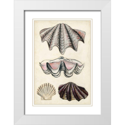 Seashore Field Notes IV White Modern Wood Framed Art Print with Double Matting by McCavitt, Naomi