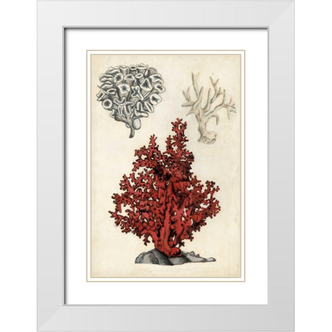 Seashore Field Notes V White Modern Wood Framed Art Print with Double Matting by McCavitt, Naomi