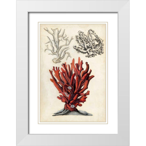 Seashore Field Notes VI White Modern Wood Framed Art Print with Double Matting by McCavitt, Naomi