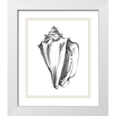 UA CH Shell Sketch I White Modern Wood Framed Art Print with Double Matting by Harper, Ethan