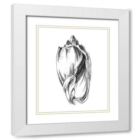 UA CH Shell Sketch II White Modern Wood Framed Art Print with Double Matting by Harper, Ethan