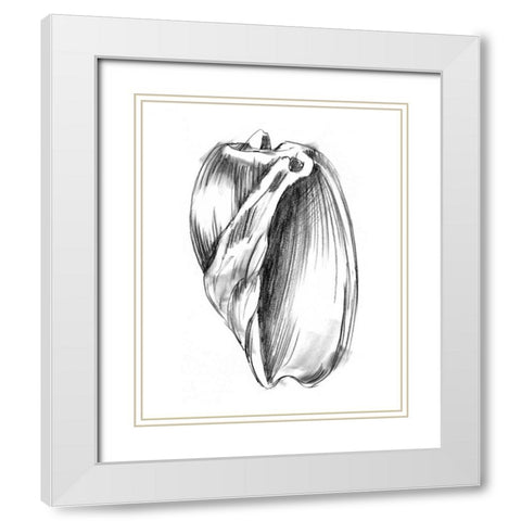 UA CH Shell Sketch III White Modern Wood Framed Art Print with Double Matting by Harper, Ethan