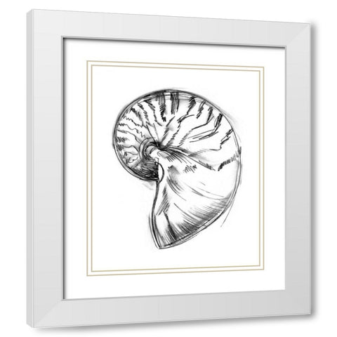 UA CH Shell Sketch IV White Modern Wood Framed Art Print with Double Matting by Harper, Ethan