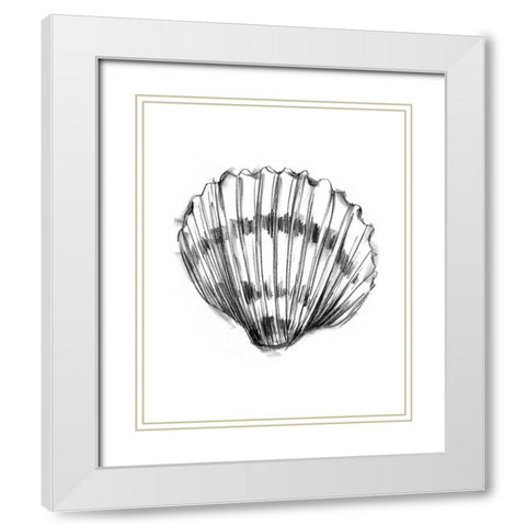 UA CH Shell Sketch VI White Modern Wood Framed Art Print with Double Matting by Harper, Ethan