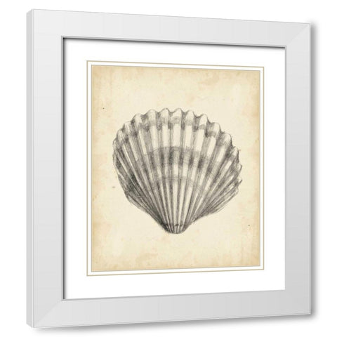 Antique Shell Study III White Modern Wood Framed Art Print with Double Matting by Harper, Ethan