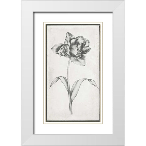 Single Stem I White Modern Wood Framed Art Print with Double Matting by Goldberger, Jennifer