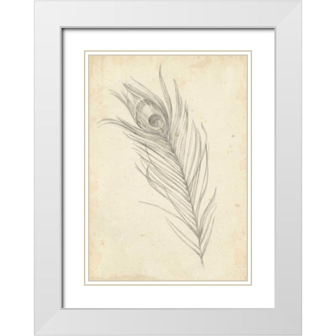 Peacock Feather Sketch I White Modern Wood Framed Art Print with Double Matting by Harper, Ethan