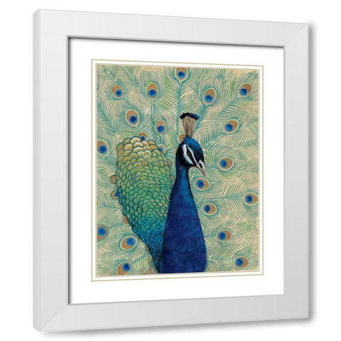 Blue Peacock I White Modern Wood Framed Art Print with Double Matting by OToole, Tim