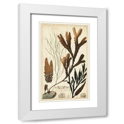Turpin Seaweed I White Modern Wood Framed Art Print with Double Matting by Turpin