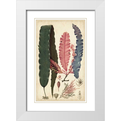 Turpin Seaweed II White Modern Wood Framed Art Print with Double Matting by Turpin