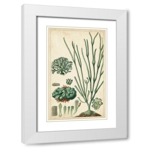 Turpin Seaweed VI White Modern Wood Framed Art Print with Double Matting by Turpin