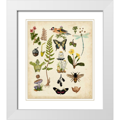 A Walk in the Forest I White Modern Wood Framed Art Print with Double Matting by McCavitt, Naomi