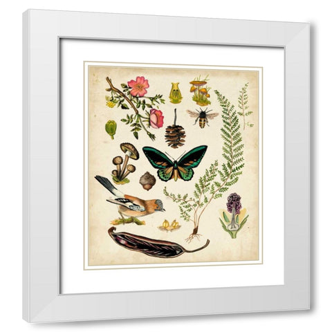 A Walk in the Forest II White Modern Wood Framed Art Print with Double Matting by McCavitt, Naomi