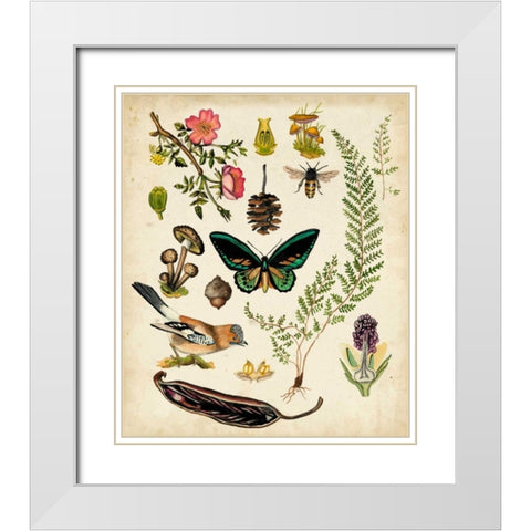 A Walk in the Forest II White Modern Wood Framed Art Print with Double Matting by McCavitt, Naomi