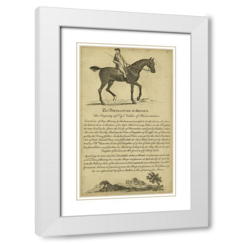 Horse Portraiture V White Modern Wood Framed Art Print with Double Matting by Unknown