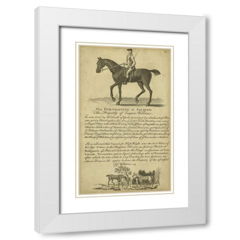 Horse Portraiture VI White Modern Wood Framed Art Print with Double Matting by Unknown