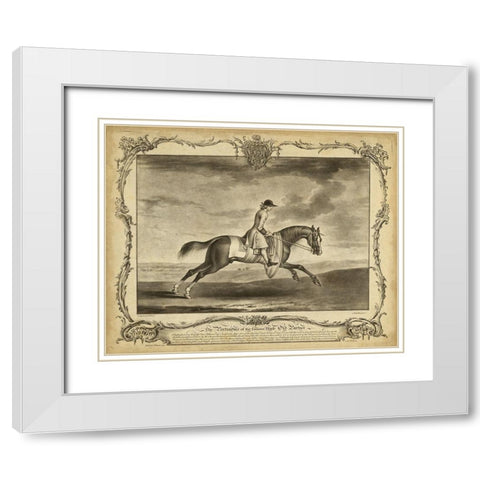 Distinguished Horses I White Modern Wood Framed Art Print with Double Matting by Unknown