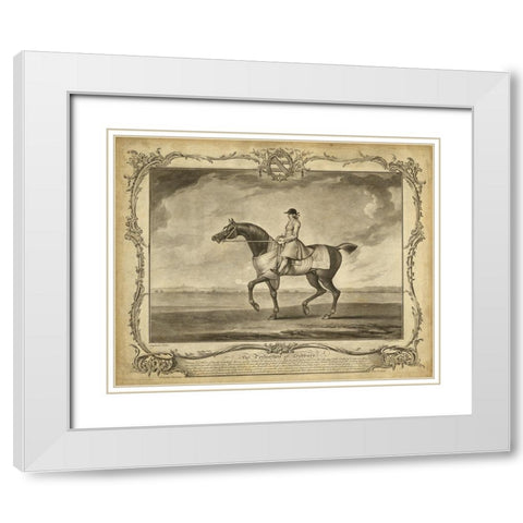 Distinguished Horses II White Modern Wood Framed Art Print with Double Matting by Unknown