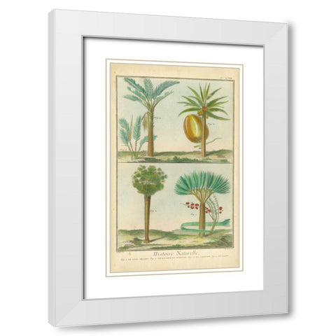 Histoire Naturelle Tropicals I White Modern Wood Framed Art Print with Double Matting by Martinet