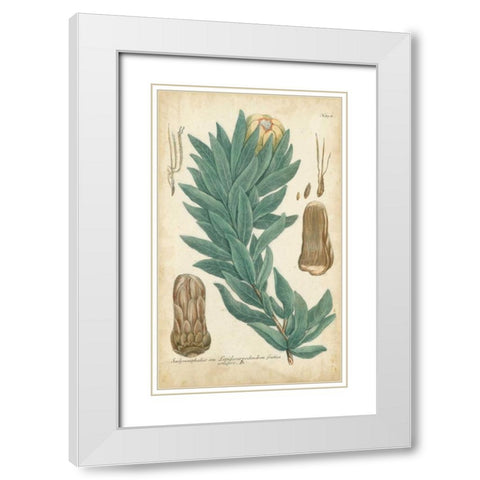 Weinmann Conifers I White Modern Wood Framed Art Print with Double Matting by Weinmann